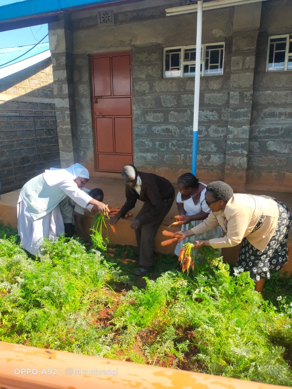 Music and expression activities